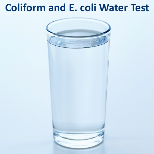 Coliform and E. coli Bacteria Water Test