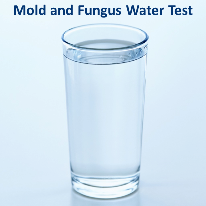 Mold and Fungus Water Test