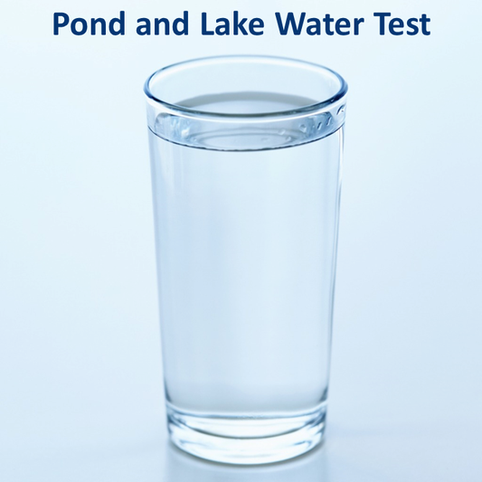 Pond Stream and Lake Water Test